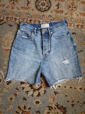 Everlane denim shorts